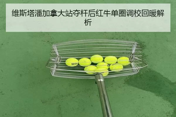 wei-si-ta-pan-jia-na-da-zhan-duo-gan-hou-hong-niu-dan-quan-diao-xiao-hui-nuan-jie-xi-2-811.jpg